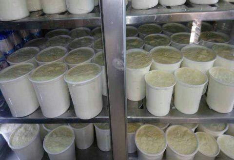 دمشق.. ارتفاع أسعار اﻷلبان 25%