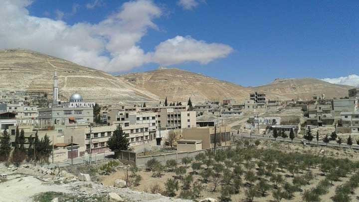 ريف دمشق.. النظام ينفذ حملة ده...