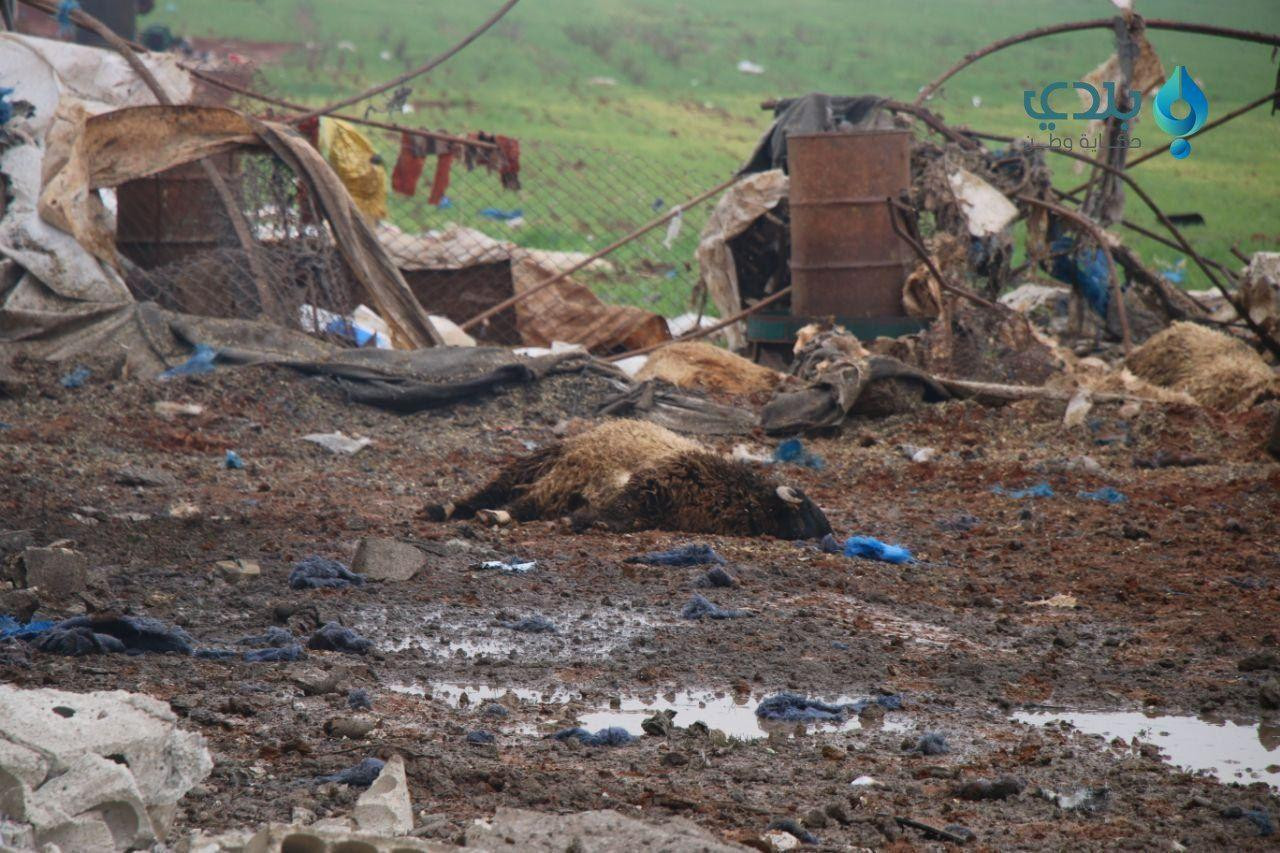 روسيا تواصل عدوانها على حلب