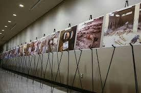 النظام يقتل رئيس مجلس مدينة جا...