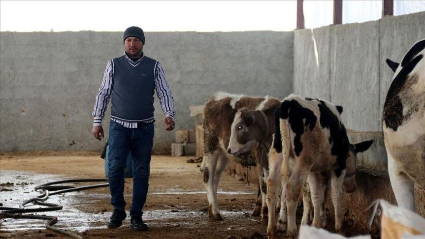 سوري يحول معاناة اللجوء إلى مش...