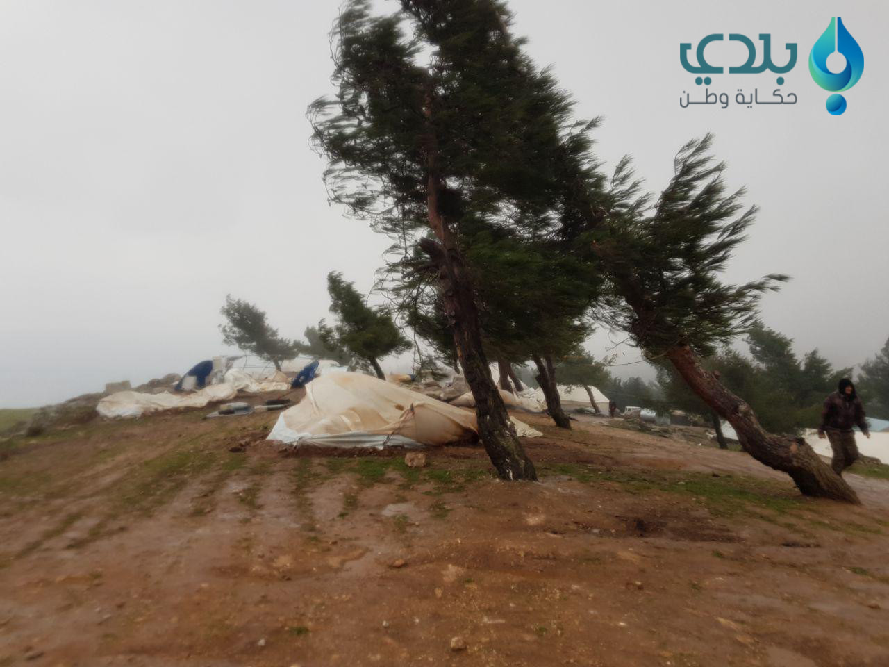 نازحون من مخيم "الدويلة" يروون...