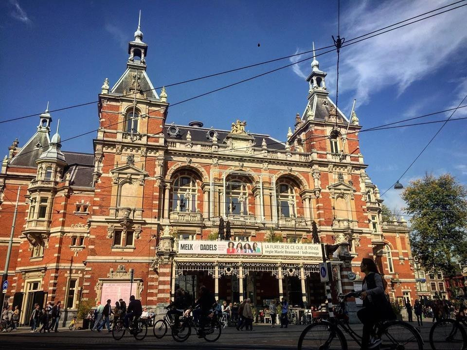 سوريون في هولندا.. مبادرة إنسا...