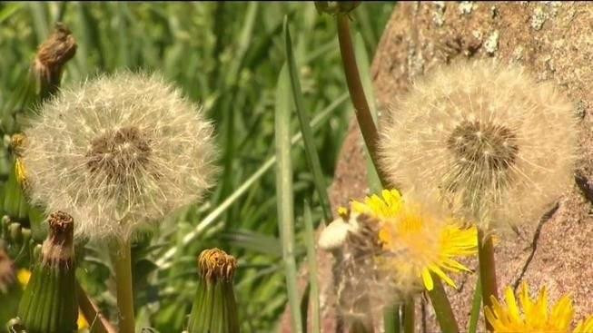 نصائح للحد من أعراض الحساسية ا...