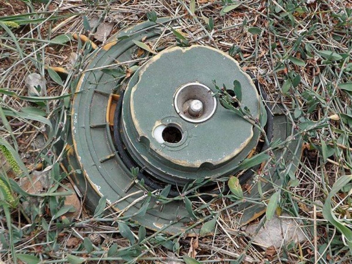 مخلفات الحرب تقتل شخصين في الق...