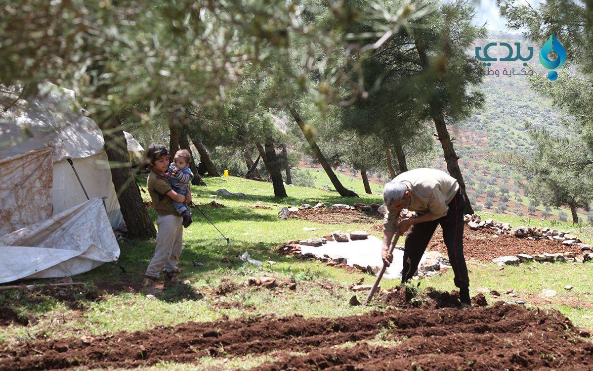 نقل الزراعة من "سهل الغاب" إلى...