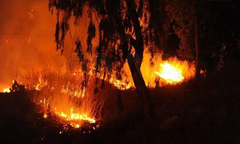 من جديد.. حرائق تلتهم المحاصيل...