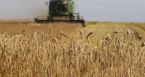 إدارة "قسد" ترفع سعر شراء القم...