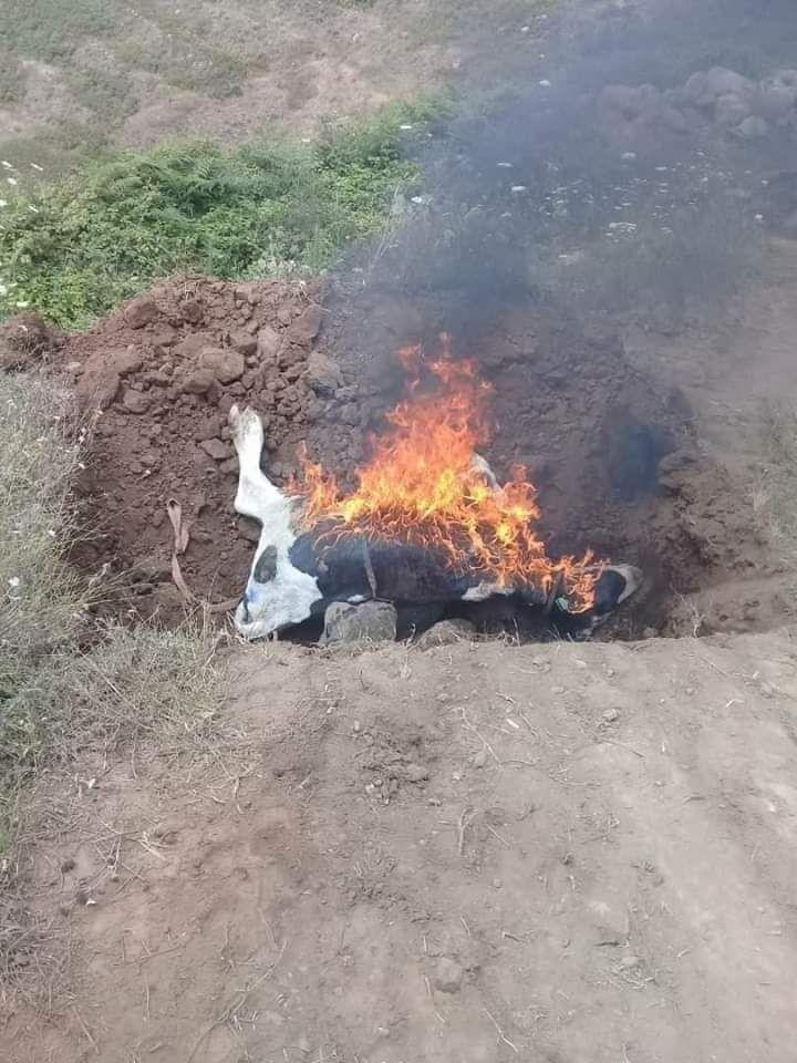 طرطوس تتصدر قائمة المناطق في أ...