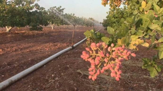 الائتلاف الوطني: النظام يسرق م...