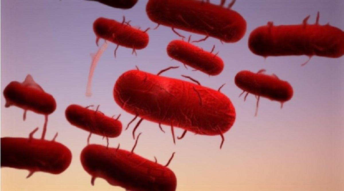 بعد الصين.. إصابة جديدة بالطاع...