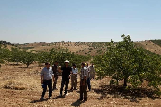 نظام الأسد يستولي على أراضي ال...