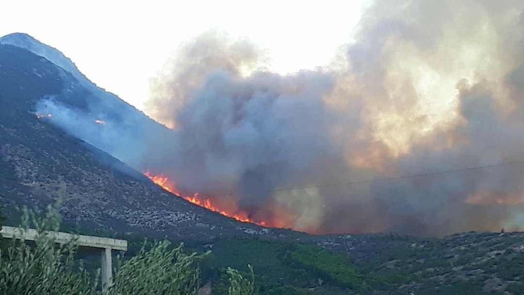 حرائق بناحية شطحة غربي حماة وم...