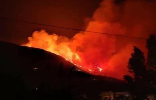 التهمت مئات الهكتارات.. النظام...