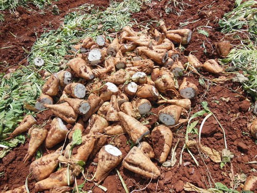 مسؤول بالنظام يتوقع رفع أسعار...