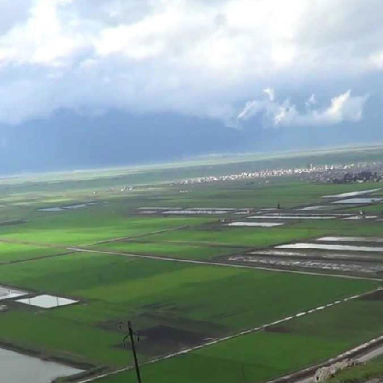 النظام يروج لمشروع تحويل سهل ا...