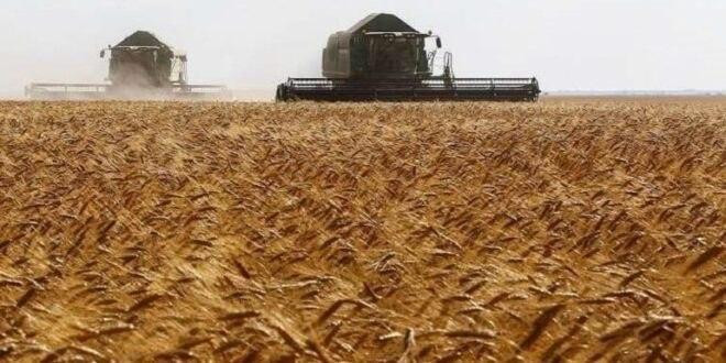 على وقع أزمة الخبز.. "الإدارة...