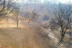 تشكيك بالأرقام المتعلقة بحجم خ...