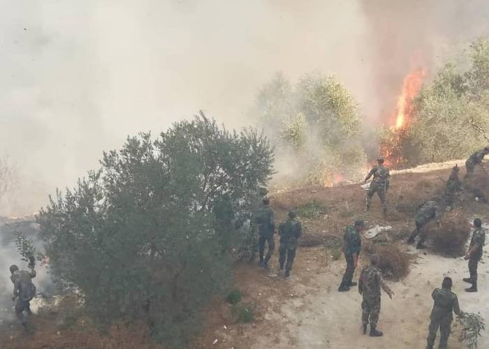 باﻷرقام.. تعرف إلى أضرار الحرا...