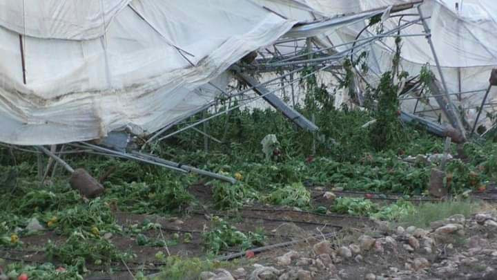 النظام يخصص 2.9 مليار ليرة سور...