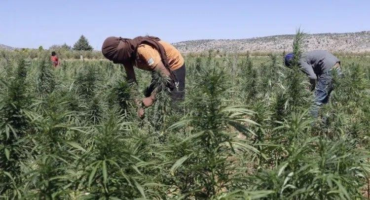 صحيفة: خبراء يعملون على تطوير...