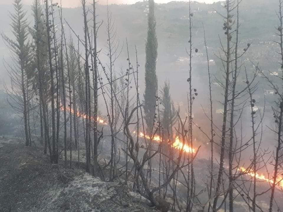 اندلاع حرائق جديدة في محافظة ط...