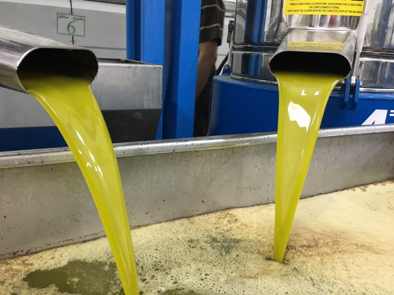 غياب الرقابة والفوضى يسببان تل...