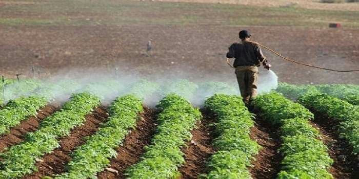 ارتفاع الأسعار يهدد موسم الزرا...