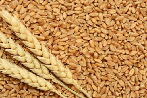 حكومة النظام تطرح مناقصة لشراء...