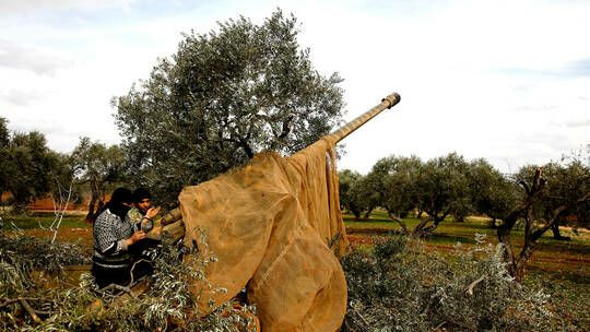 "مركز حميميم": المعارضة تستعد...