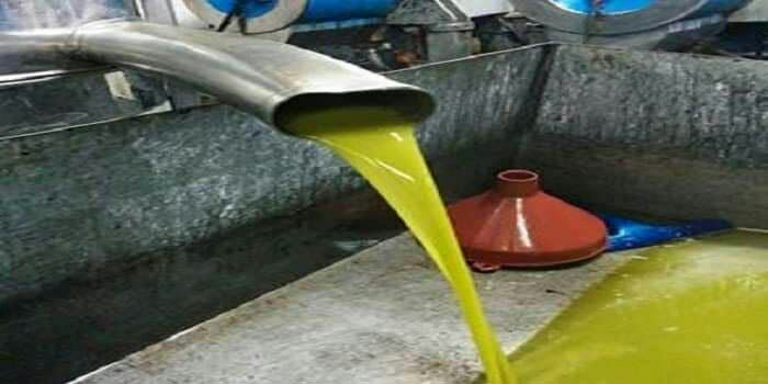 زيت زيتون درعا يفقد خواصه.. ما...