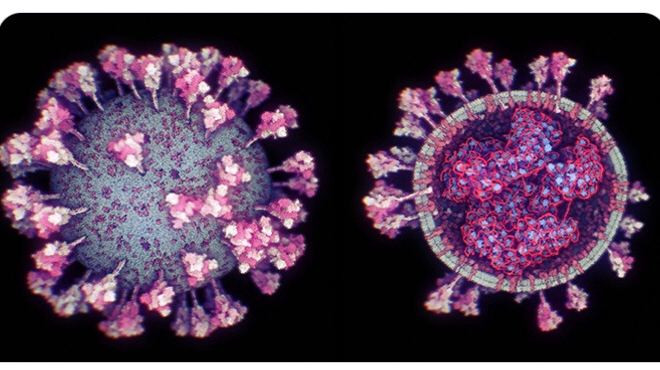 شاهد بالفيديو كيف يتحرك فايروس...