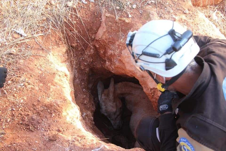 بالصور.. متطوعو "الخوذ البيضاء...