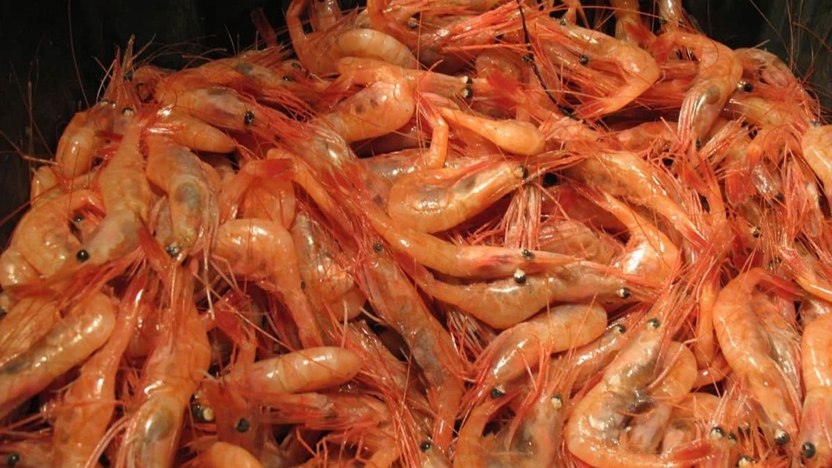 الصين ترصد فايروس "كورونا" بشح...