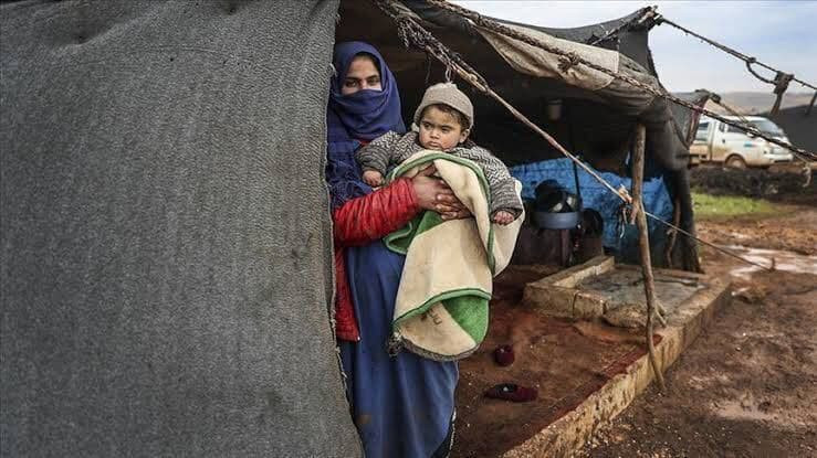 الأمم المتحدة: ارتفاع نسبة تقز...