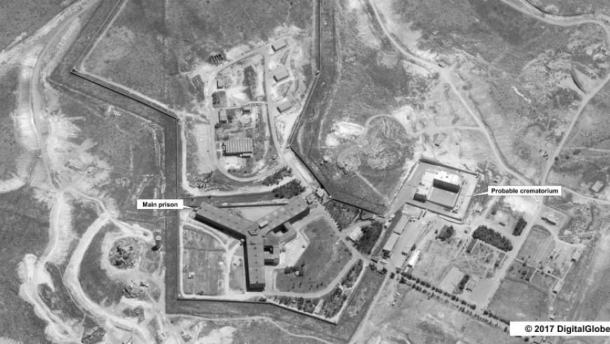 هولندية تقاضي بلادها لمعرفة مص...