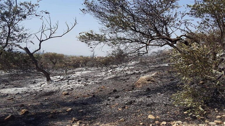 إحصائية بحرائق سوريا خلال 2020