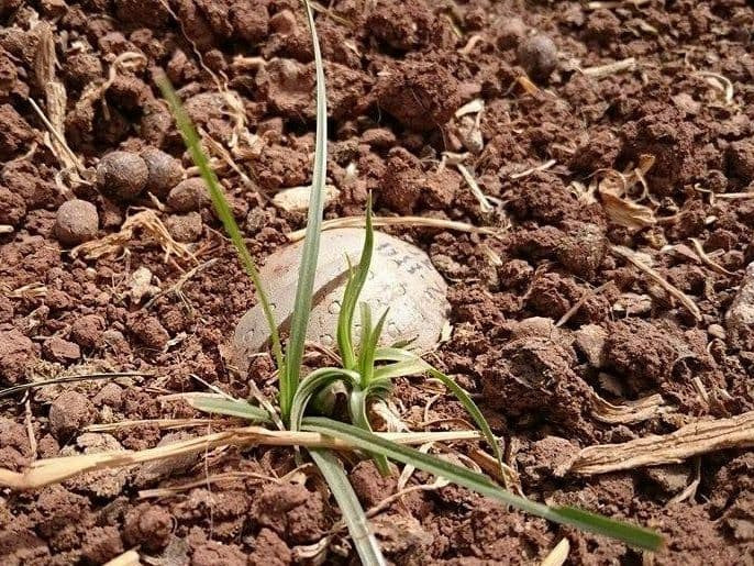 منهم أطفال.. ثلاثة شهداء بريف...