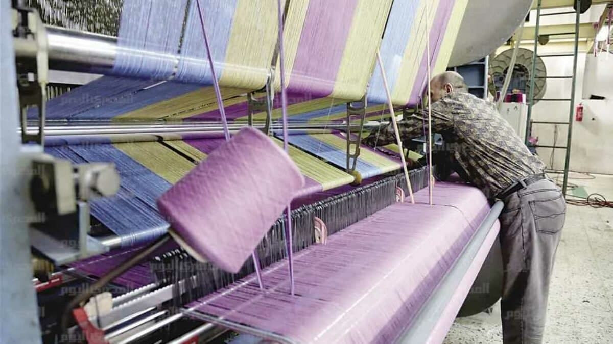 مسؤول بحكومة النظام: قطاع النس...