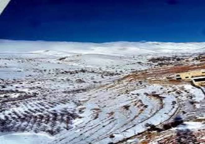 وفاة أربعة سوريين جراء البرد ع...