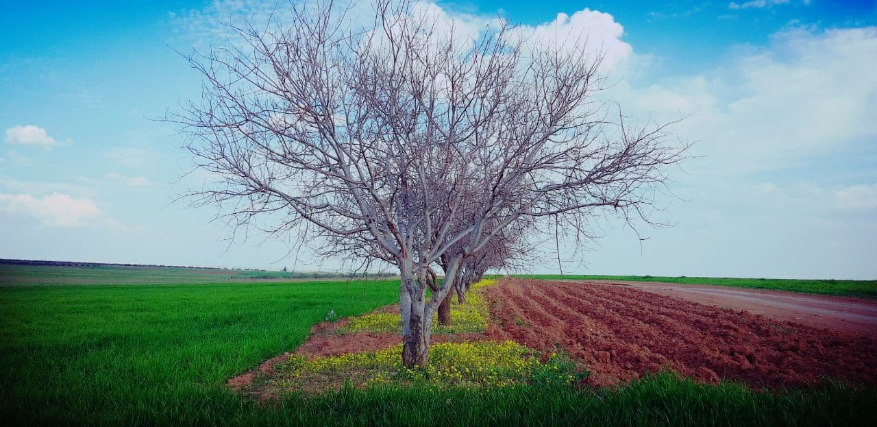 "البحوث الزراعية" تطلق سلسلة ن...