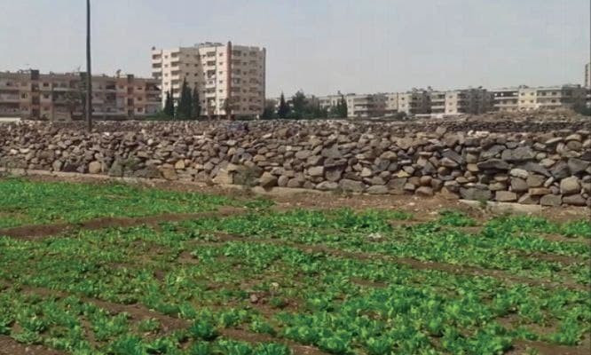 عليها آثار تعذيب.. العثور على...