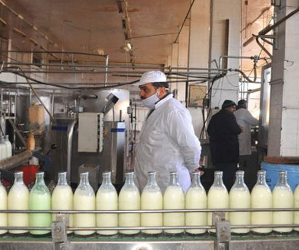 "التجارة الداخلية" تشرعن الغش...