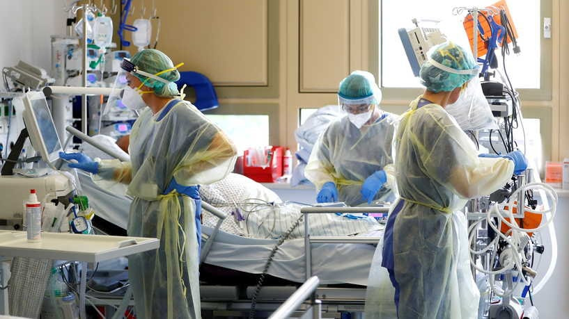 "الفطر الأسود" المتحور من "كو....