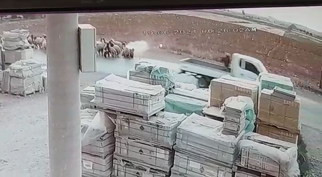 بــدم بارد.. عـ.ـملية اغـ.ـتيا...