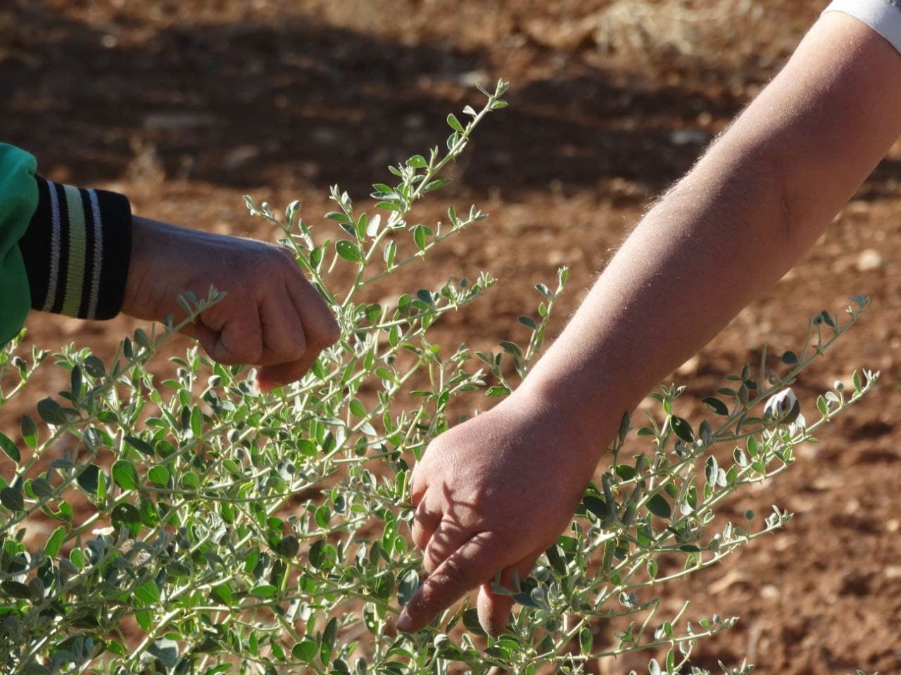 "القبار".. موسم البسطاء المحفو...