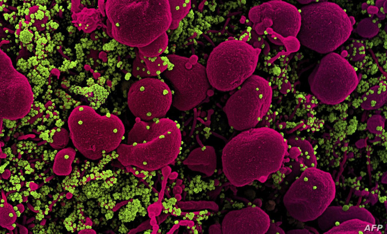 بعد "دلتا".. المتحور الجديد "ل...