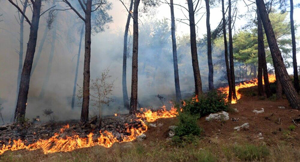 النظام يحذر من "مؤشرات خطورة"...