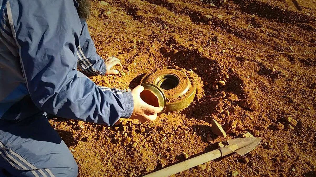 أثتاء قطافهم للتين.. جرحى بانف...