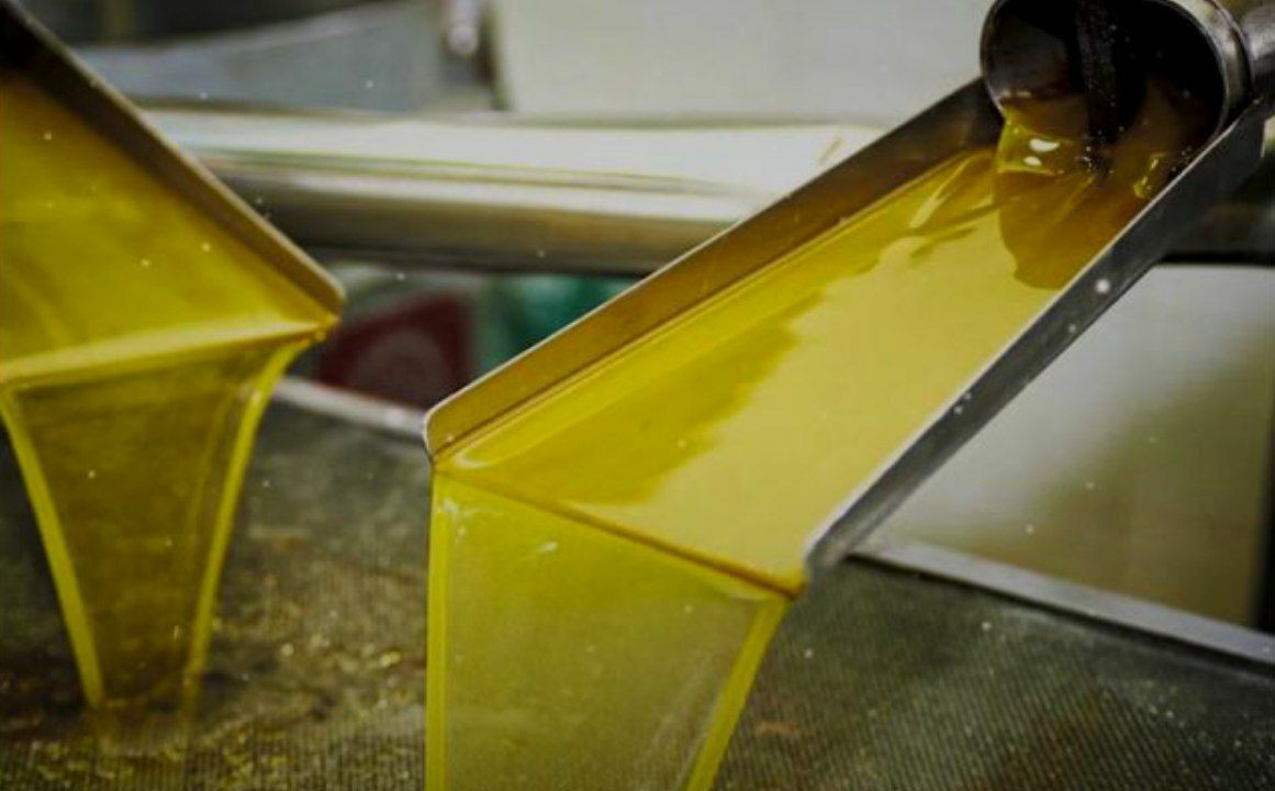 سوريا.. تعليق تصدير "زيت الزيت...